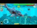 BIG DADDY Dunkleosteus vs Megalodon: Hungry Shark Evolution Ultimate Guide