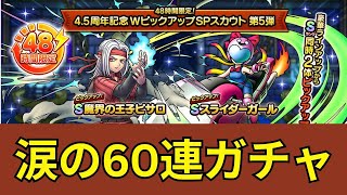 ドラクエタクト4.5周年WPガチャ　王子ピサロ＆スライダーガール