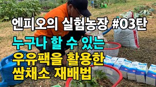 [실험농장 #03] 누구나 할 수 있는 우유팩을 활용한 쌈채소 재배법