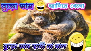 janen Buro vam 😃 | You know 'Buro Bham' #funny videos