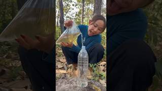 Survival Skills: easy methood saving water transfer to bottle #camping #bushcraft #water #smart