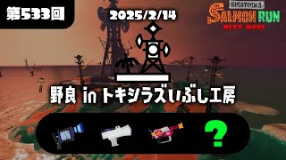 【累計75回野良ノーミスマン】トキシラズ野良キケマ連勝チャレンジ！！【スプラトゥーン3/サーモンラン】