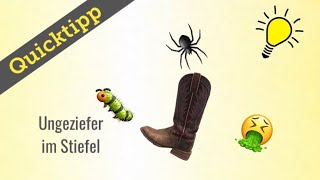 Quicktipp: Ungeziefer im Stiefel