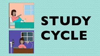 The Study Cycle