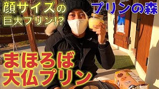 プリンの森カフェ！巨大まほろば大仏プリンが美味すぎた。