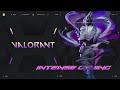 Valorant: Where Headshots Are Accidental | Valorant 41 | Intense Gaming