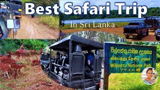 Wilpattu National Park | Sri Lanka | විල්පත්තු ජාතික වනෝද්‍යානය