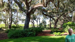 Beautiful Coastal Garden Tour - Lots of Native Plants - Landscape Installation