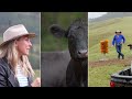 Australian Good Meat -  Mackas Farm Tour: behind the scenes