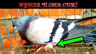 কবুতরের পা ভেঙে গেছে?