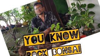 Rock Bonsai  - సులభంగా ఎలా తయారు చేయాలో చూద్దామా