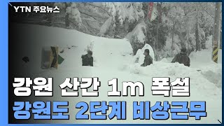 강원 산지 최고 1m 폭설...학교 80여 곳 휴업 / YTN