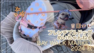 【フレブルのいる暮らしvlog】BAY WALK MARKET 2024秋　横浜で開催されたイベントに行ってきました！たくさんの可愛いわんちゃんに癒されながら美味しいドイツビール、夕食はうしすけに🥩