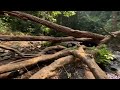 lost in the labyrinth day 9 solo exploring yana caves india