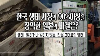 일본 홋카이도 쿠시로, 이 곳에서 잡힌 명태의 대부분은 생태로 한국으로 수출된다. 한국 생태시장의 90% 이상을 장악한 일본의 비결은 무엇일까?/부산MBC 20021122 방송