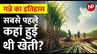 गन्ने की खेती का इतिहास, सबसे पहले कहां हुई थी Ganne ki Kheti ? || History Of Sugarcane | News Potli