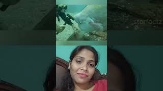 70 years ke Divers ki friend❤️😎💪 #amazingfacts #fish #shark #animals #shortvideo #shortvideo........