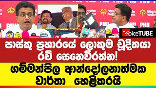 ලොකුම චූදිතයා රවි සෙනෙවිරත්න! ගම්මන්පිල ආන්දෝලනාත්මක වාර්තා  හෙළිකරයි