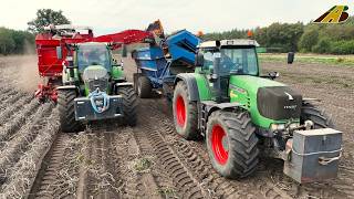 Kartoffeln aus Niedersachsen - LKW, Traktoren \u0026 2 Kartoffelroder Kartoffelernte 2024 Landwirtschaft