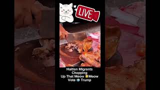 #Haitians #Migrants Chopping up that #Meow.  🐱 If You Own An Animal.. Vote 🗳️ Trump Now  #PETA