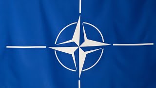 Finland would 'make NATO stronger': Finnish diplomat