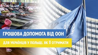 700 злотих від #ООН для українців у Польщі: як її отримати і куди звертатися | TV Regio Україна