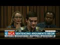 Convicted rapist Nicholas Ninow speaks
