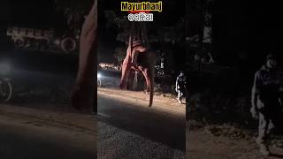 ହାତୀ ଛୁଆ ଉଦ୍ଧାର mayurbhanj କରଞ୍ଜିଆ #treanding #mayurbhanj #elephant #shimilipal#treanding #short