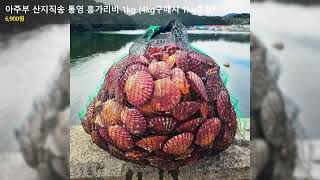 아주부 산지직송 통영 홍가리비 1kg (4kg구매시 1kg증정)