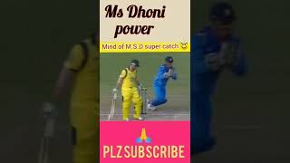 MS Dhoni ने क्या कैच पकड़ा //Ms Dhoni status ♥️//Cricket New Tiktok Video#shorts#viratkohli