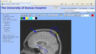 MIRC Tutorial: Annotating Images