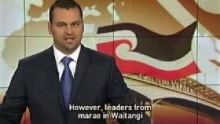 Hone Harawira will fly the Tino Rangatiratanga flag on Waitangi Day