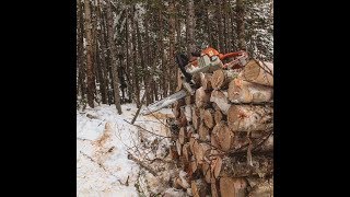 FIREWOOD HARVEST 2018 (Part 1)