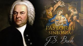 J.S. Bach - Christmas Oratorio “Pastoral Sinfonia” BWV 248