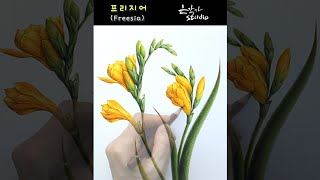 새로운 나를 꿈꾸는 꽃 | 프리지어 색연필 꽃그림 | Flower Drawing Freesia