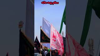 سلام بزمه ماتمه|| اربعین کراچی||#labbaikyahussainas #arbaeen #arbaeenwalk#karbala#اربعین_حسینی#2024