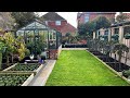 Kitchen garden tour ~ growing on nicely