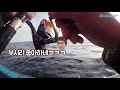 k pd 뷰포인트 부산 다대포 외섬 참돔 u0026부시리 낚시편 다나까tv