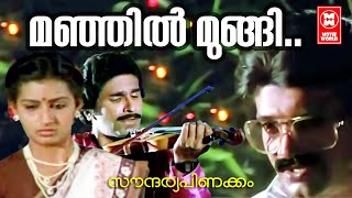 മഞ്ഞിൽ മുങ്ങി | Manjil Mungi Song | Soundarya Pinakam Song  | Malayalam Songs | Shankar Songs