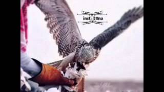 #x202b;شيلة || بيض الله وجه الايام وظروف الحياه ||#x202c;lrm;