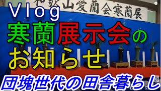 11-17　寒蘭展示会のお知らせ