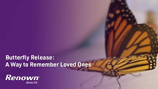 Butterfly Release: A Way to Remember Loved Ones