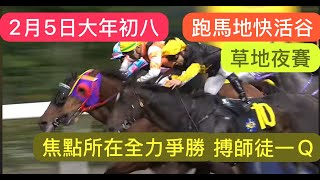 2月5日  大年初八跑馬地快活谷草地夜賽  焦點所在全力爭勝｜賽馬貼士​​​​​​​｜賽馬賠率​​​​​​​​​​​​​​​​​​​｜沙田草地日賽