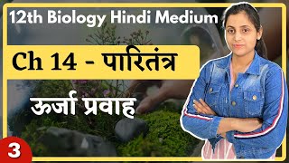 L-3, ऊर्जा प्रवाह Ch-14 पारितंत्र (Ecosystem) 12th Biology Hindi medium by Renu Ma'am