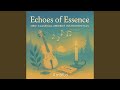 Inner Echo