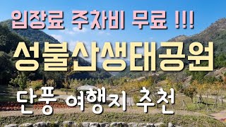 성불산생태공원/충북 괴산 당일치기여행/여행지 추천/Korean Nature