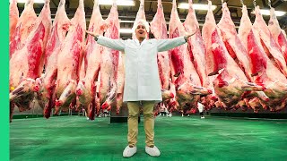 Japanese Kobe Beef Factory!!! MOST EXPENSIVE Meat in the World!!!