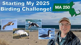 Kicking off my 2025 challenge with winter birding at Plum Island, MA!