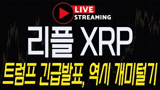 [리플 XRP] 긴급속보! \