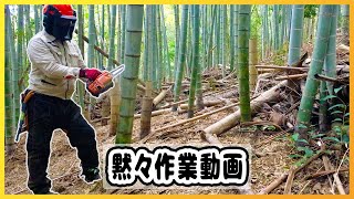 【作業用動画】放置竹林をどんどん開拓！エンジン音が響く伐採風景101分【放置竹林拡大防止PJT】